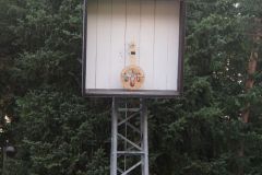 20190719_Ehrenscheibenschießen_web_143